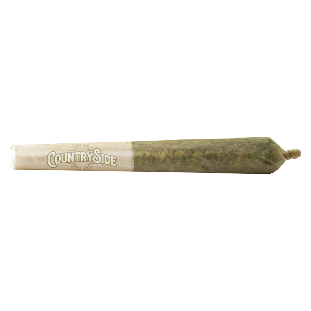 Buddy Blooms - 10th Planet - 10x0.5g Pre-Rolls