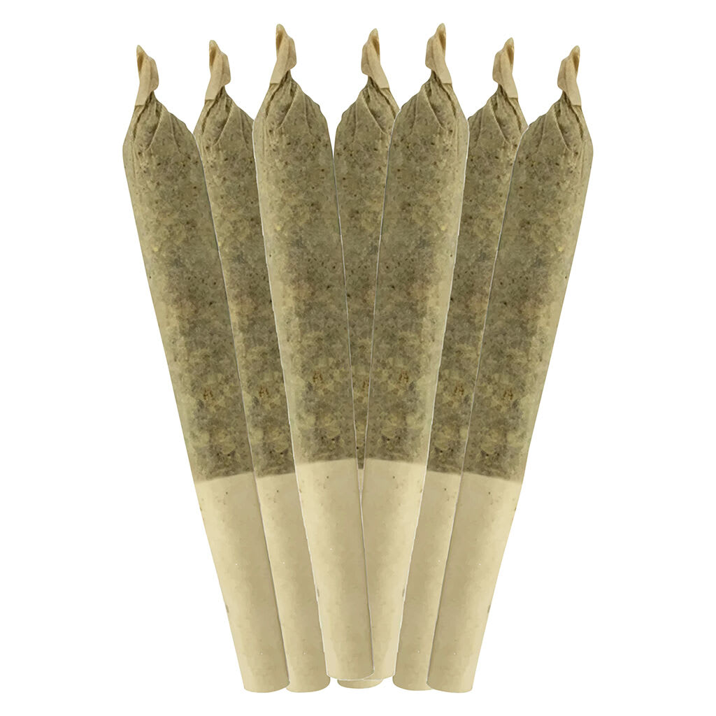 Sheeesh! - Dia De Los Muertos - 7x0.5g Pre-Rolls GARAGE SALE