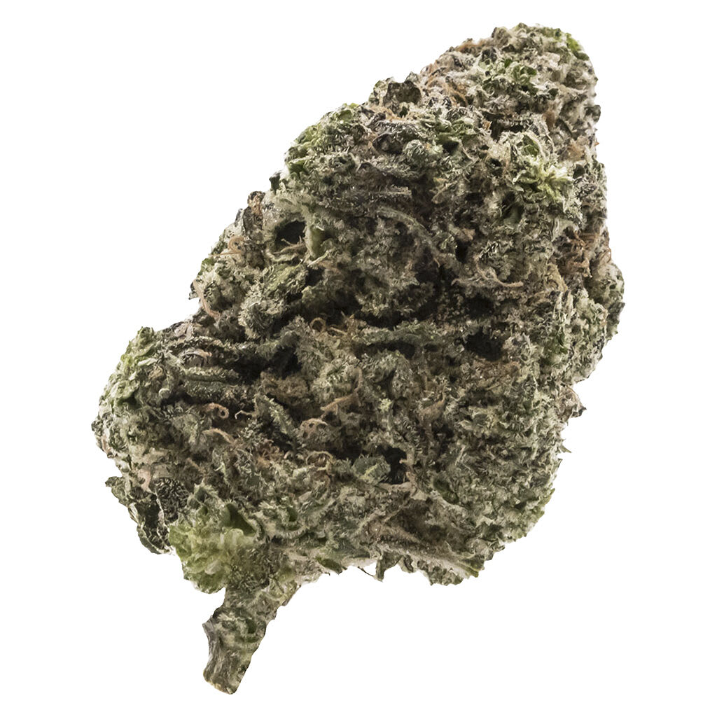 FIGR - Jungle Fumes - 14g Flower