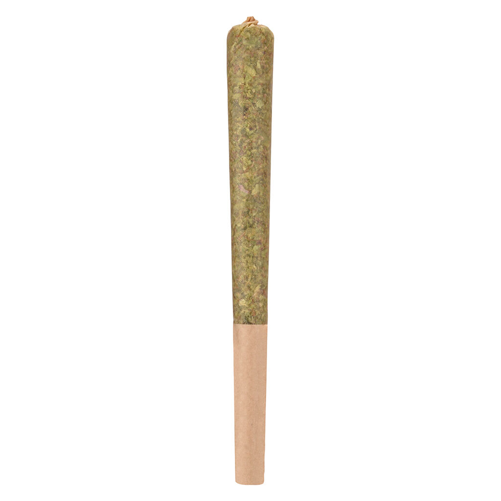 Woody Nelson - Rocketeer Infused - 1x1g Pre-Roll
