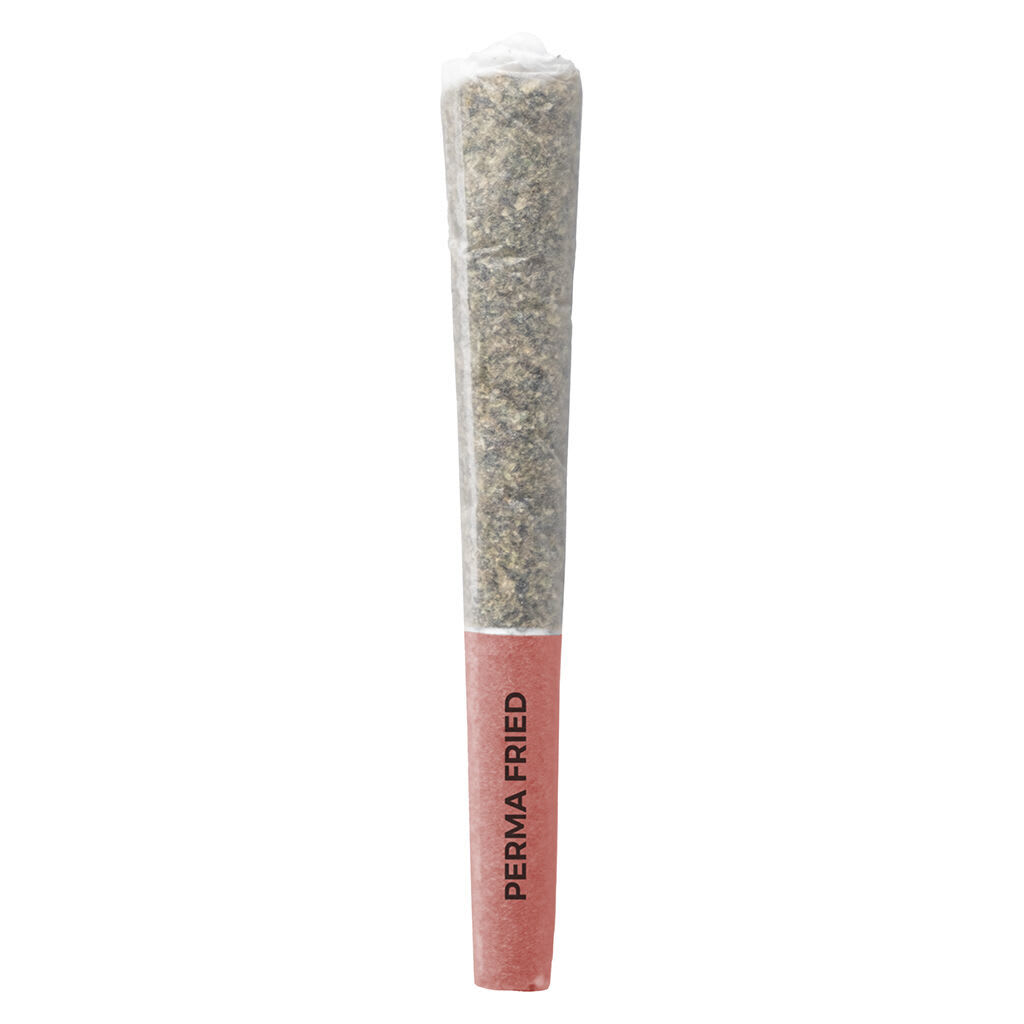 Pistol and Paris - Perma Fried - 3x0.5g Pre-Rolls PROMO