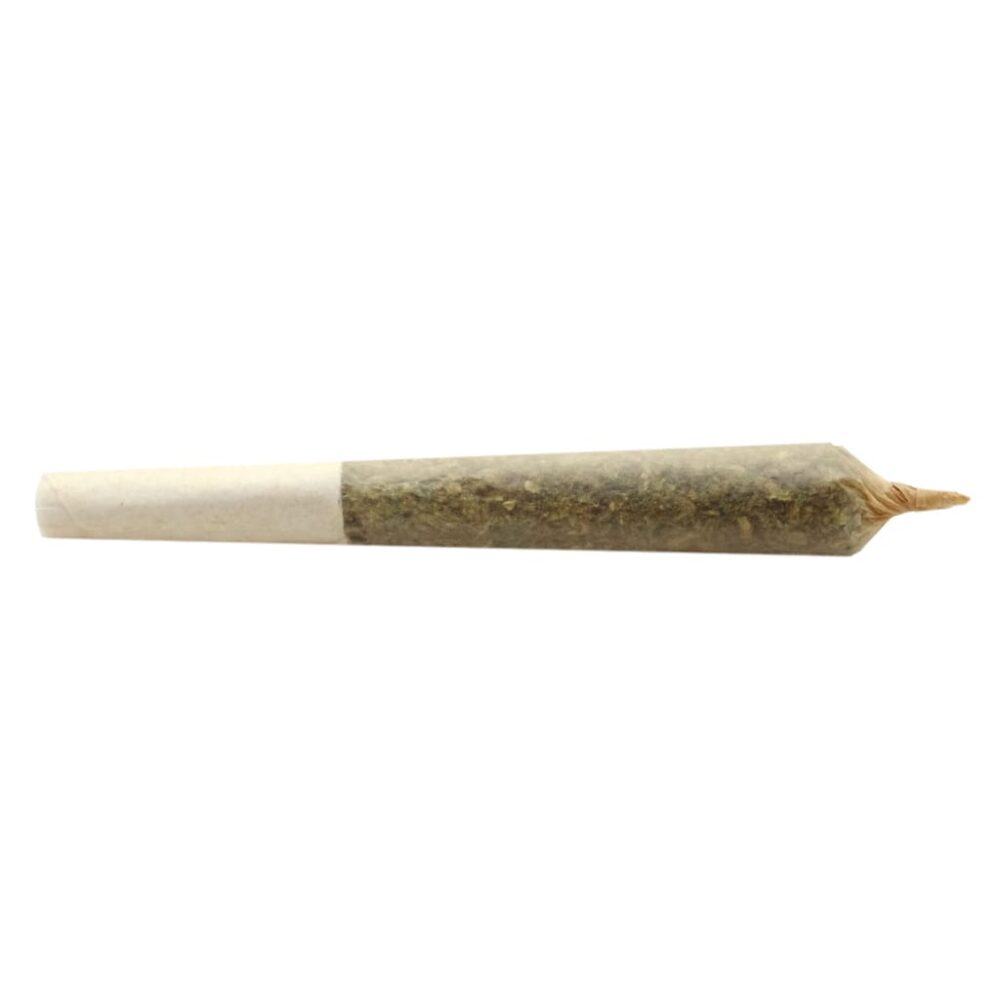 Shop Primary Image