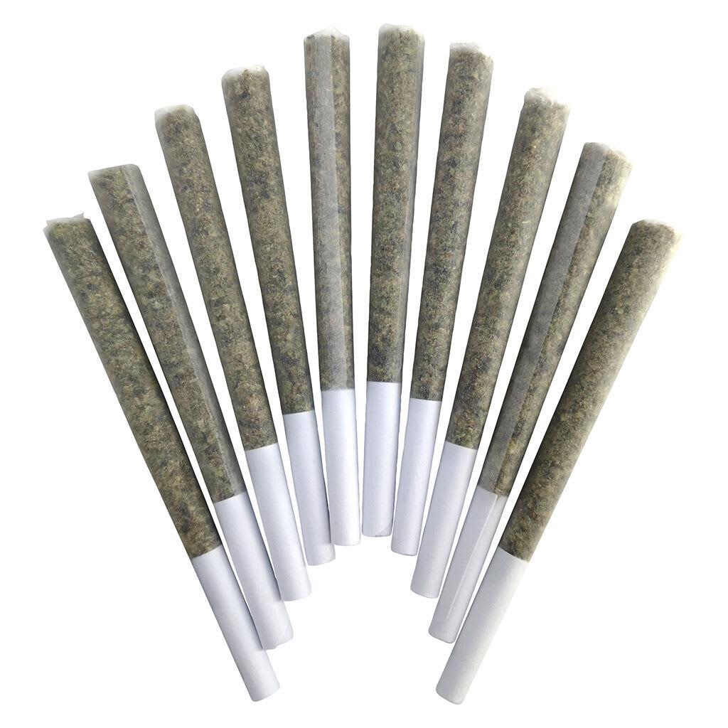 BC Doobies - Blue Maui - 10x0.5g Pre-Rolls