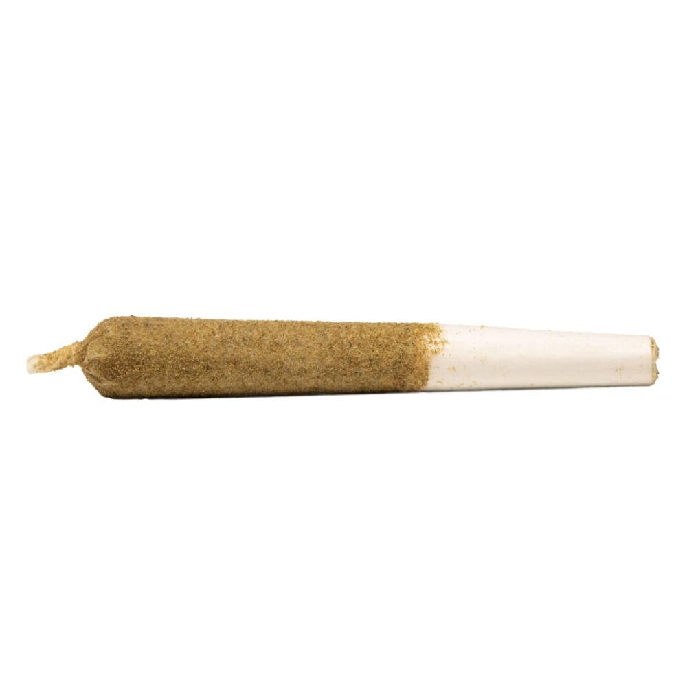 Shop Primary Image